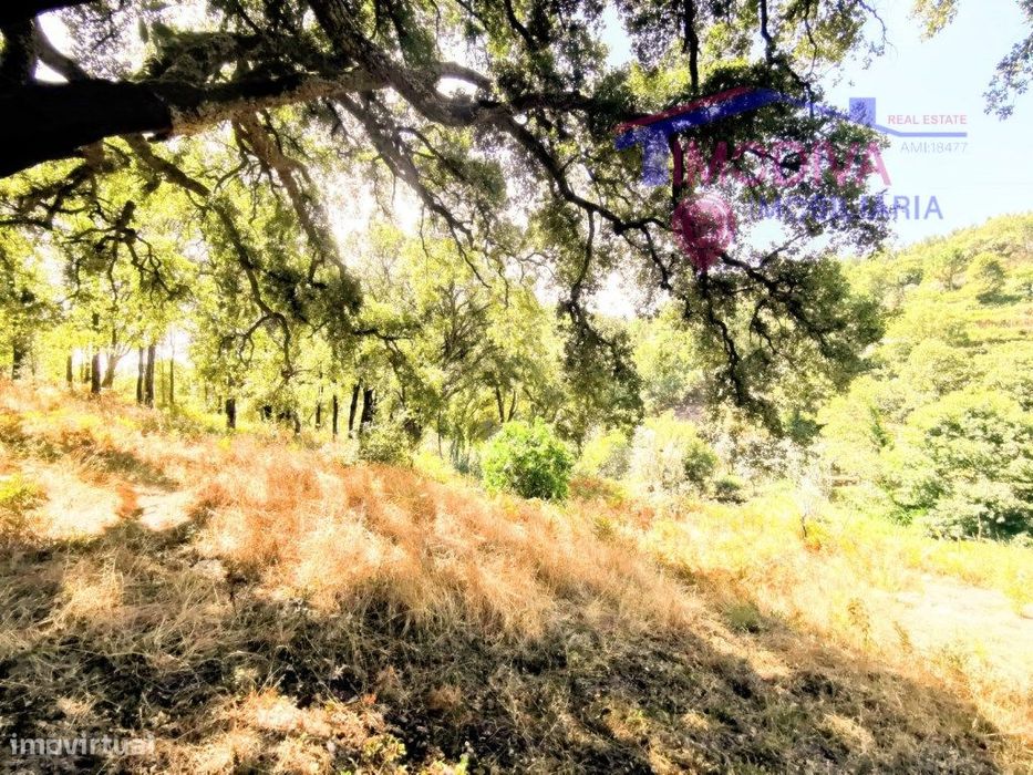 Moradia T2 com terreno a confrontar com ribeira em Figueiró dos Vinhos