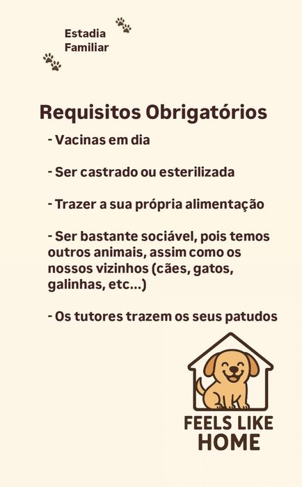 Estadia Familiar Cães