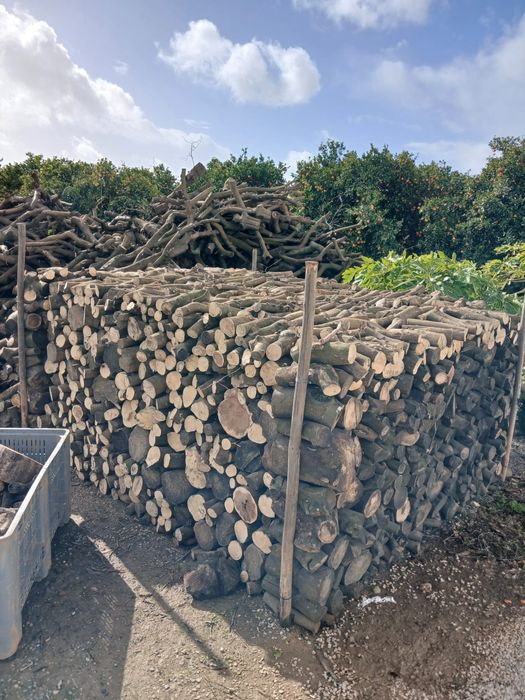 Lenha Bruta das laranjeiras