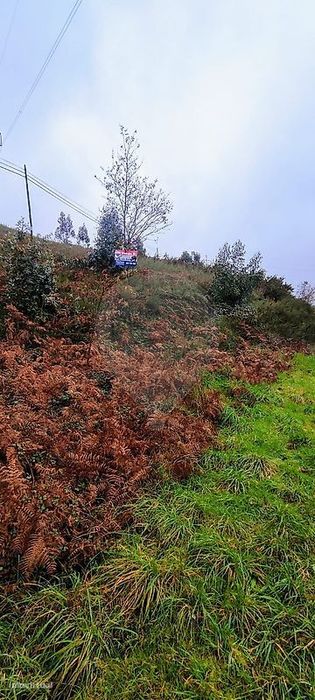 Terreno  para venda — Covelas, Braga