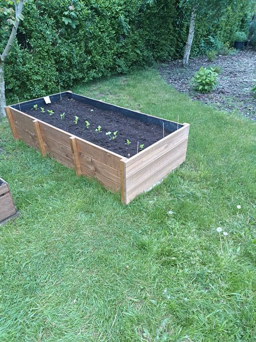 Donice na warzywo, grządka podwyższona