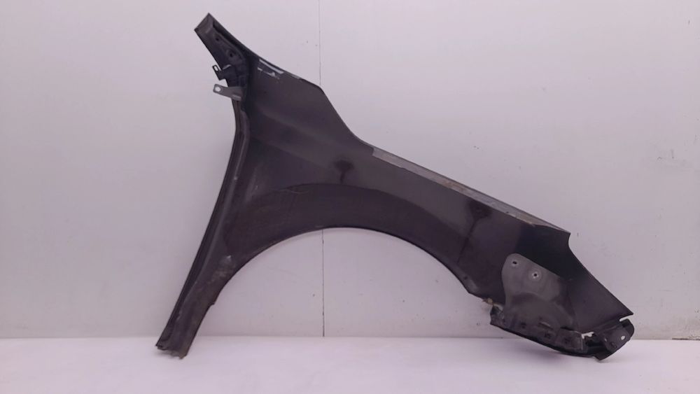 Guarda-lamas esquerdo RENAULT Latitude (L70_)