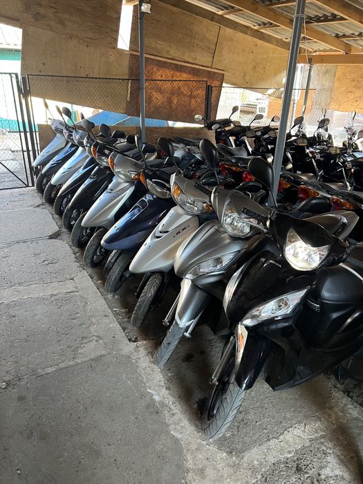 Yamaha Jog 39 ZR Evo Свіжий