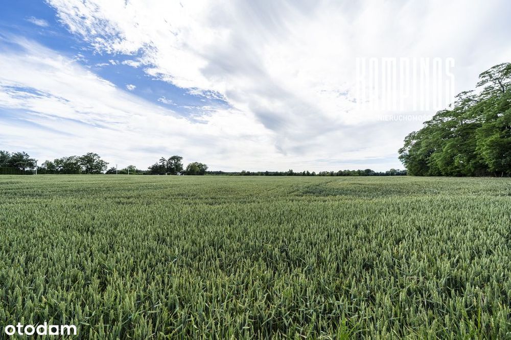 Atrakcyjna działka z WZ – Prusy, Kampinos