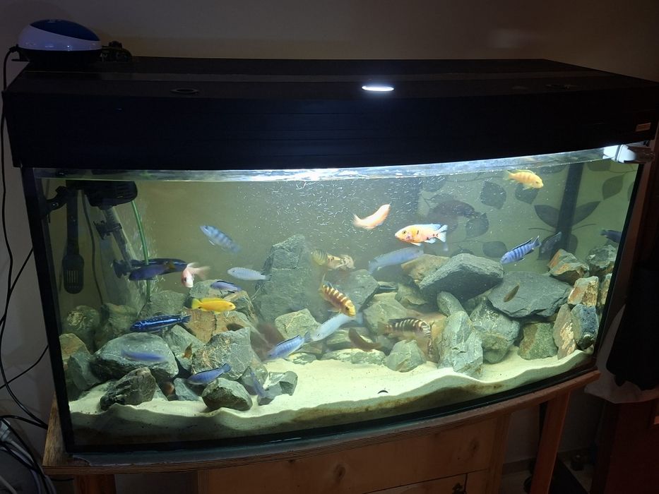 Sprzedam  akwarium