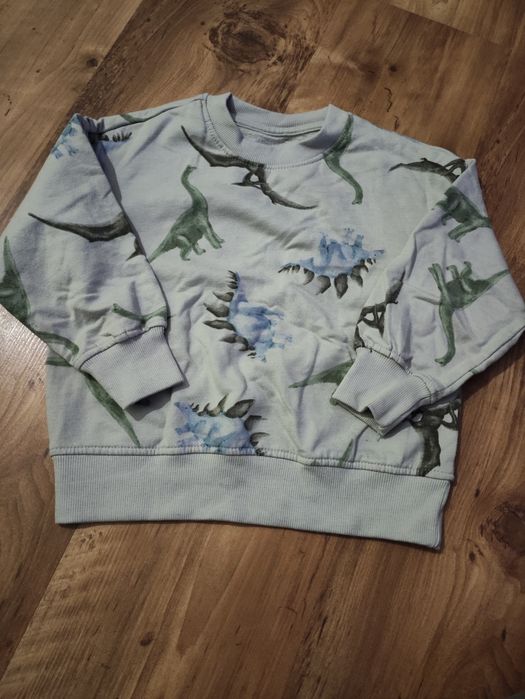 Bluza dinozaury r.104