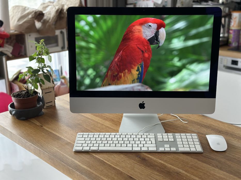 Apple iMac 21.5” i5 8GB 1TB magic mouse apple  keyboard okazja