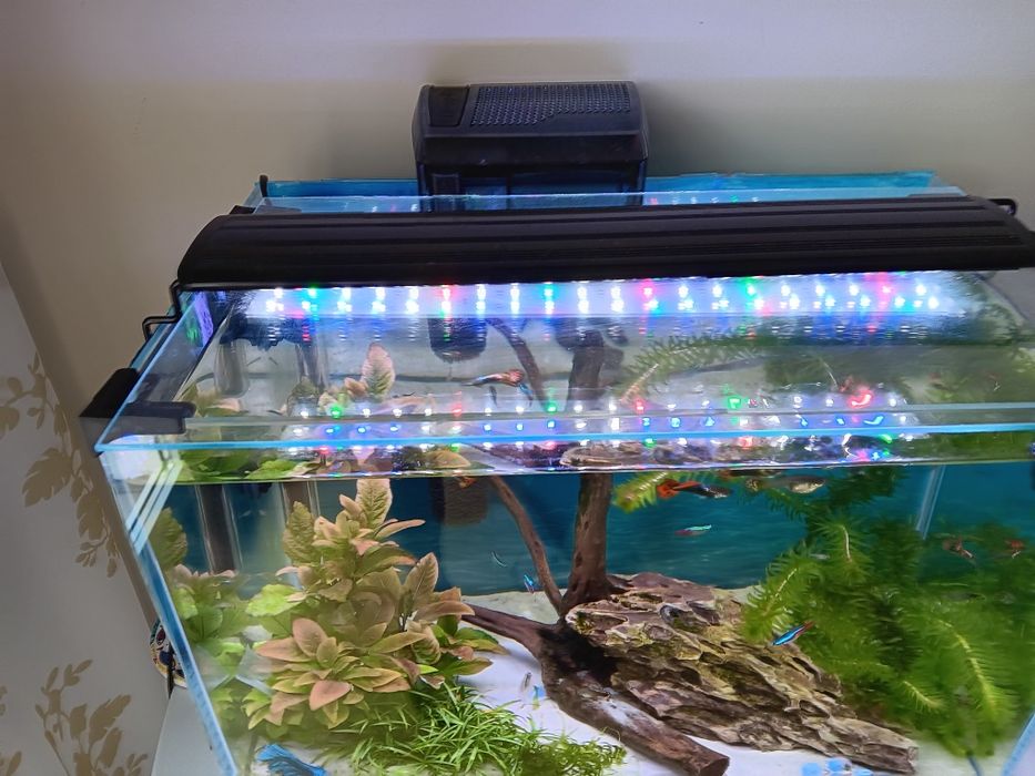 Super akwarium OPTI plus szafka  Tetra