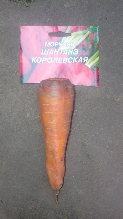 Продам моркву...