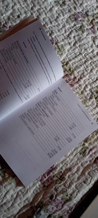 Livro Curso Intensivo de Contabilidade McGraw Hill