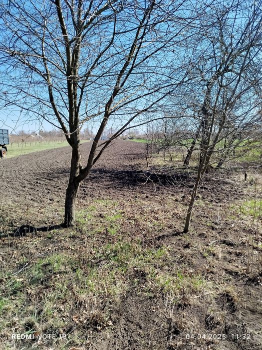 Продам будинок в Чепиліївці