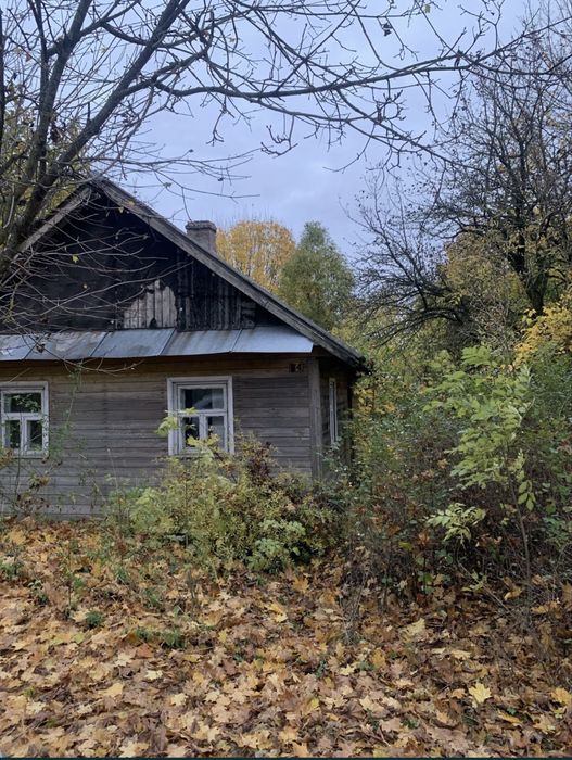 Działka siedlisko 0,5ha Kuraszewo kolo Hajnowki - Widok 2