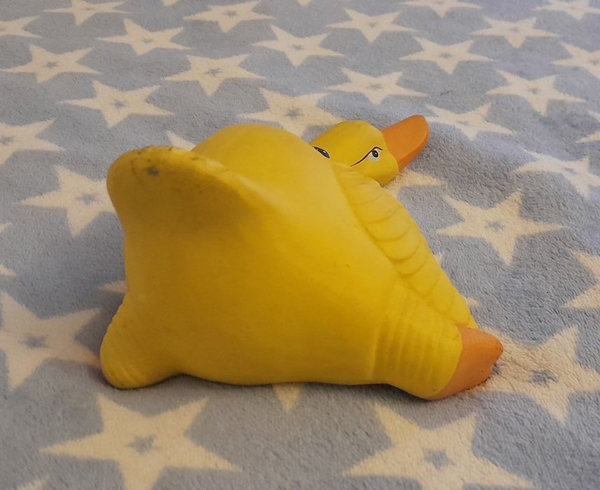 Pato loiça decoração