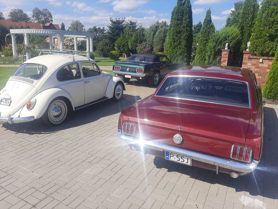 Auto Auta do ślubu Mustang wesele klasyk wolne terminy 2026 r.