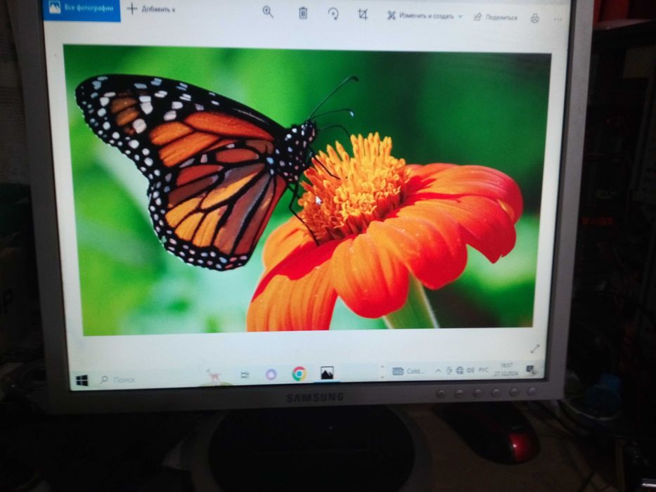 Монитор LCD   20 дюймов в рабочем состоянии.