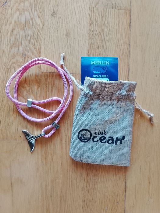 Ocean Club - Rastreador de Baleia