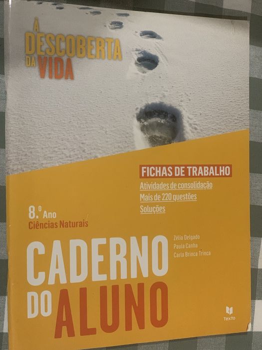 Manuais escolares 8 ano