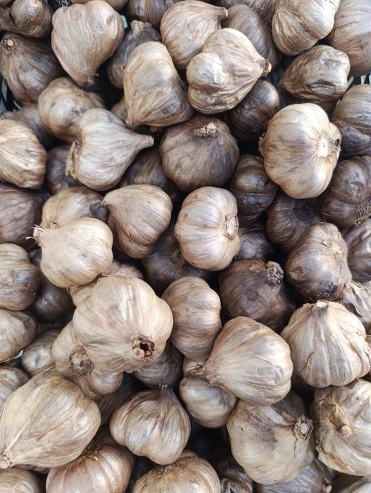 Zestaw czosnku 2.5kg (500g czarny i 2kg harnaś)