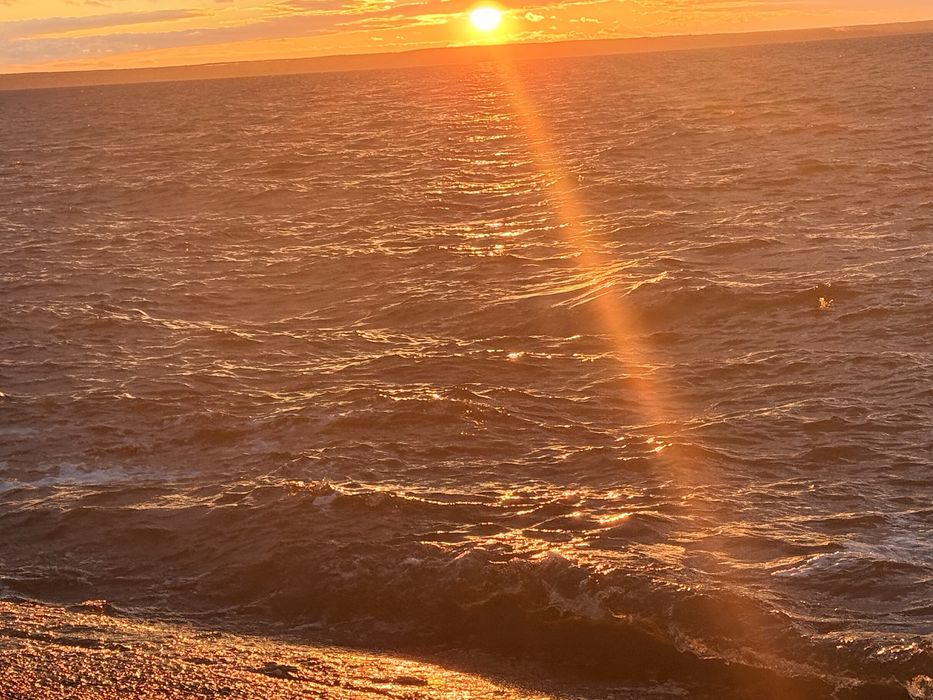 10 сот біля рибного каналу 250м поряд ліс та київське море терміново