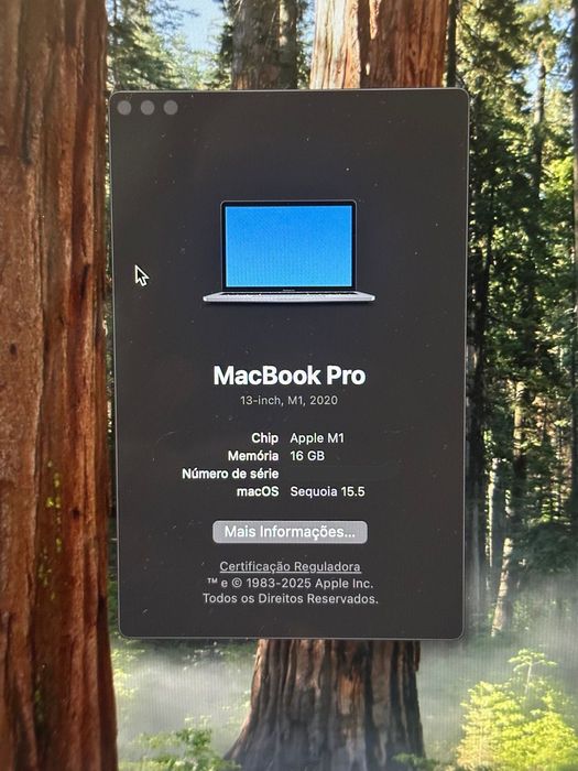 MacBook Pro M1, 16 GB, 1 TB SSD64739412881282122