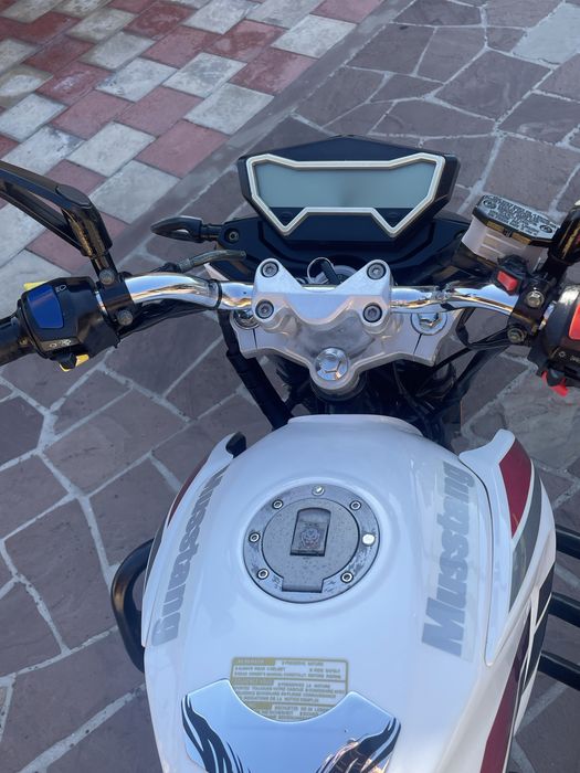 Мустанг Регіон 200