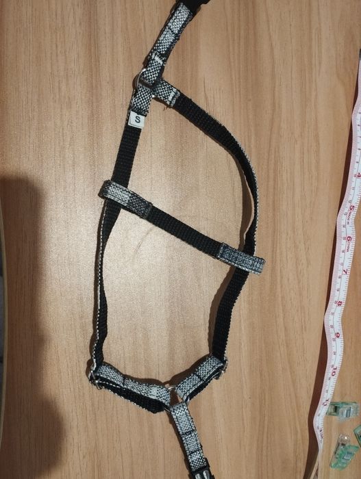 Szelki dla małego psa