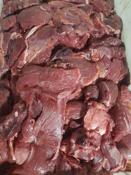 Мясо мякоть яловичина  для тварин
