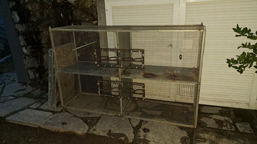 Gaiola com 4 divisões