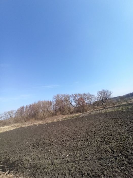 Продаж будинку в селі Пустоварівка, Київської області