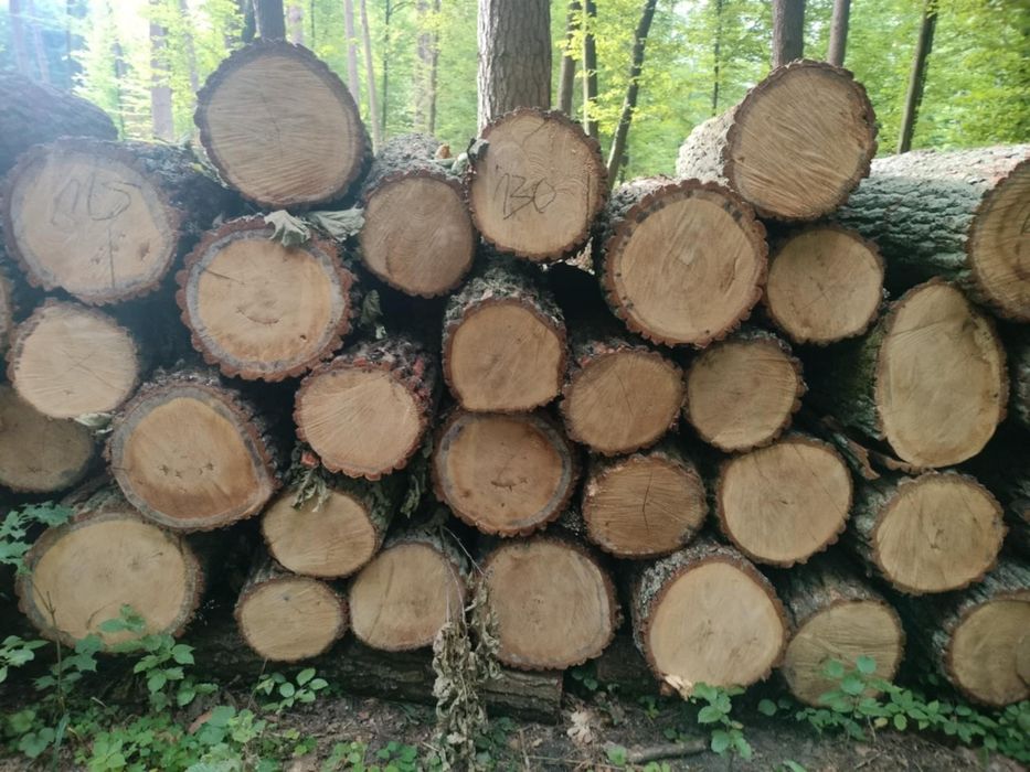 Drewno opałowe liściaste i iglaste