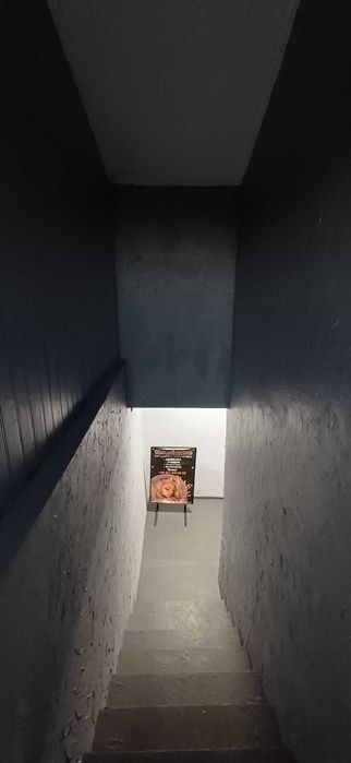 Здається в оренду торгівельне приміщення