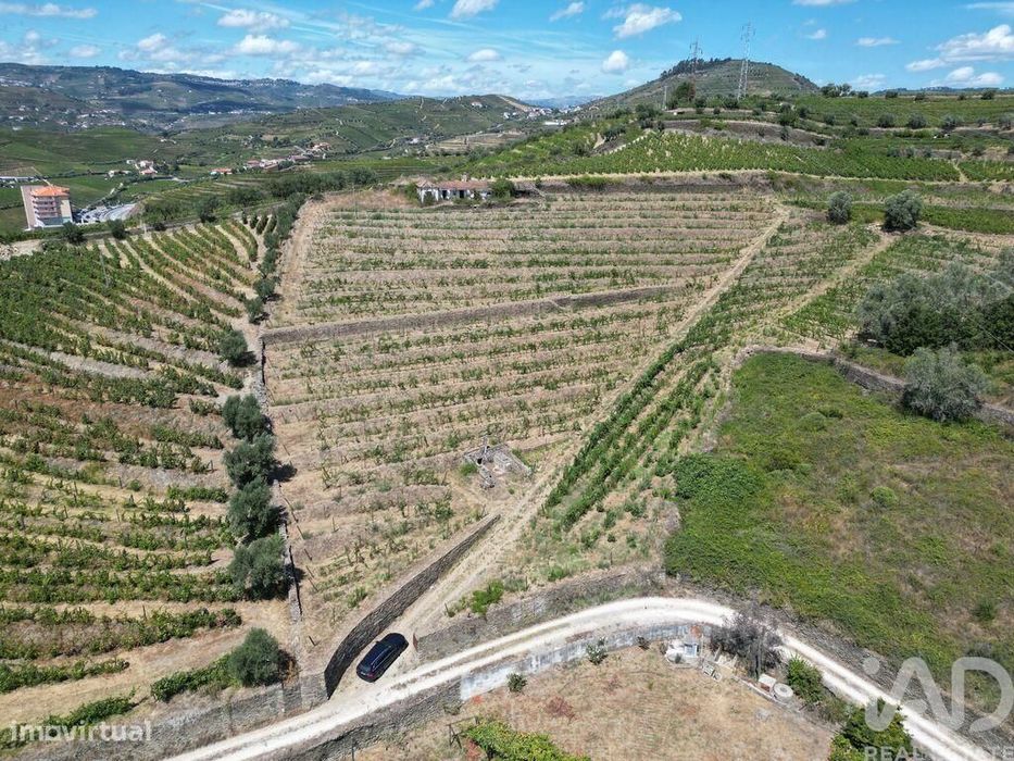 Casa de Campo T4 em Peso da Régua e Godim de 343,00 m2