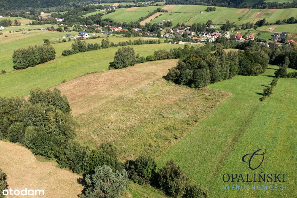Panorama | Zacisze | Zainwestuj w Bieszczadach | – pohled 5