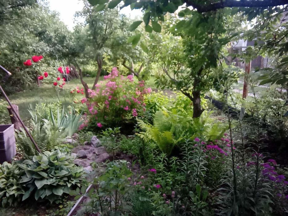 Пилипча.Продаж будинку з краєвидом на річку.