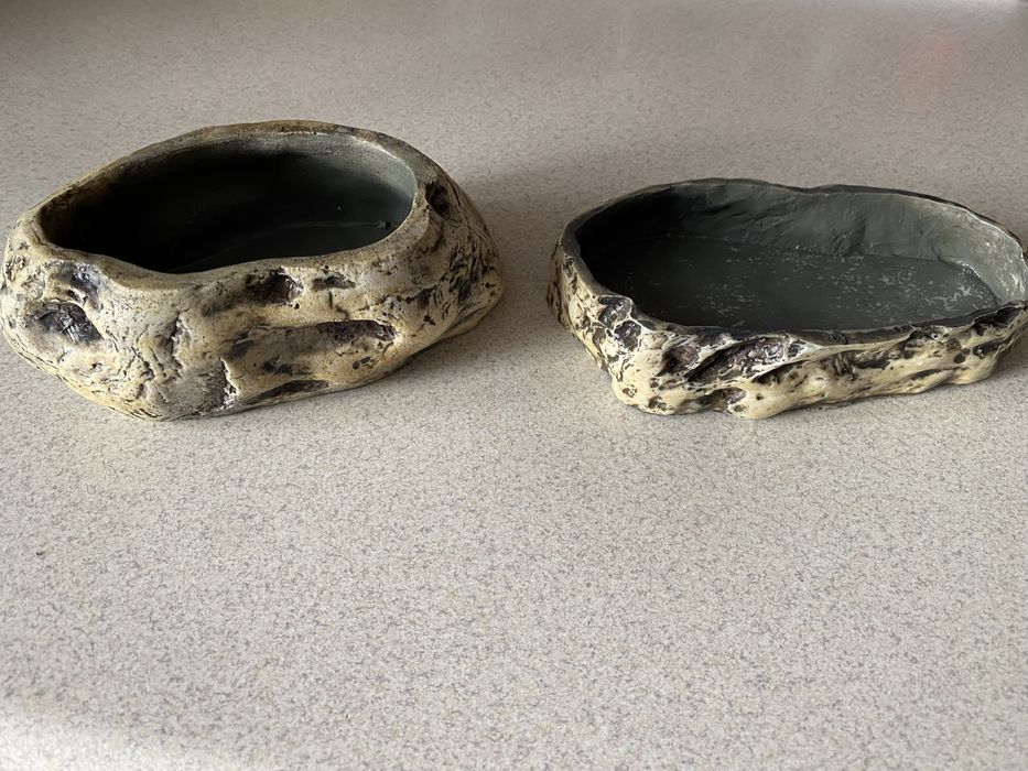 Miseczki - akcesoria do terrarium