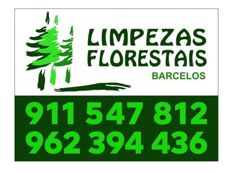 Limpeza terrenos silvicultura limpeza florestal