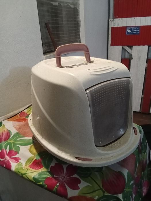 Caixa de areia para gatos