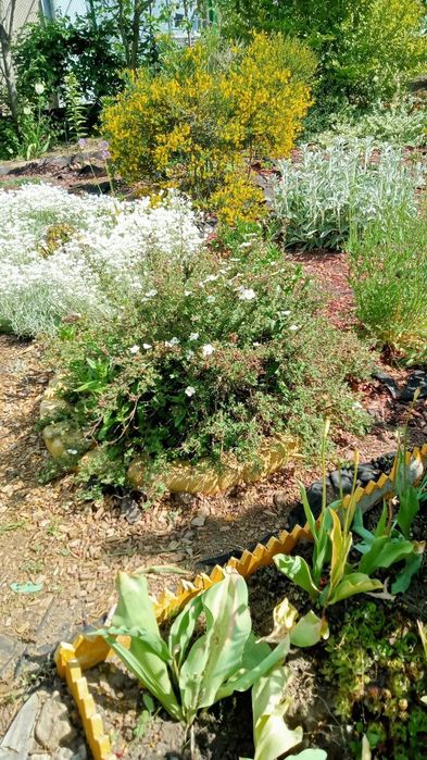 Будинок за адресою вул. Танкістів (площа 40 м²) - Atlanta.ua - фото 5