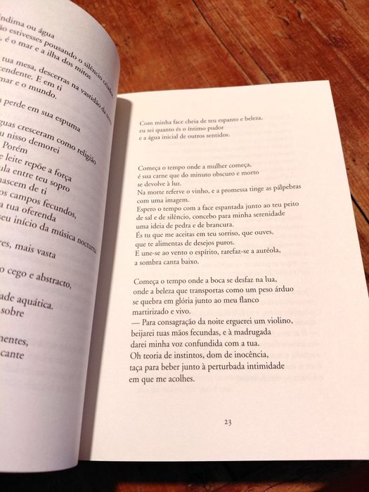 Herberto Helder -poesia