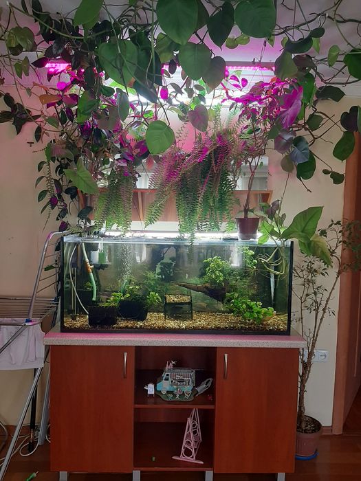 Продам аквариум на 250л: 4 500 грн. - Акваріумістика Запоріжжя на Olx