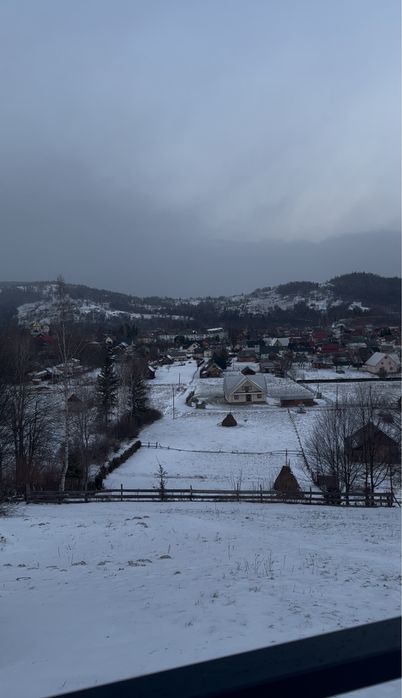 Будиночок у карпатах