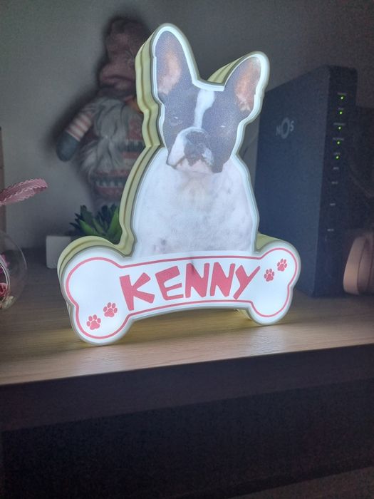 Luminaria com silhueta do seu animal de estimação