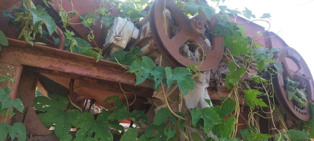 Зерноочисна машина Овс-25