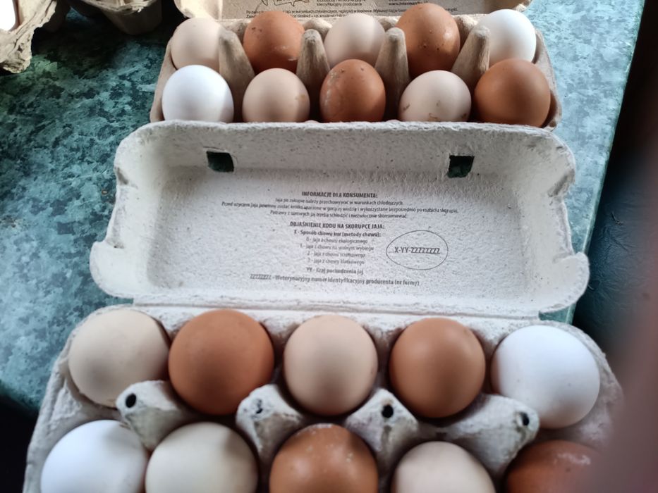 Sprzedam Jajka wiejskie