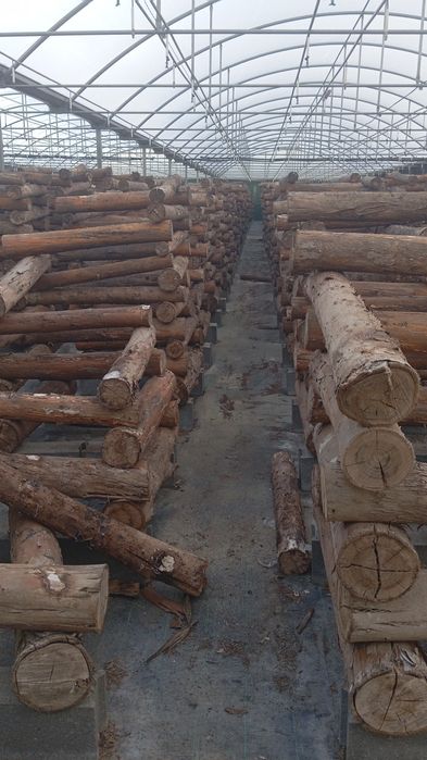 LENHA (tonelada) para queimar na Lareira  ou Salamandra ou Forno......