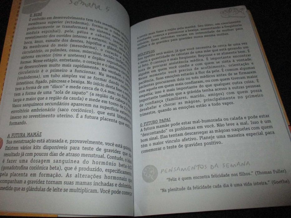 Livro Bebé a bordo guia para curtir a gravidez a dois