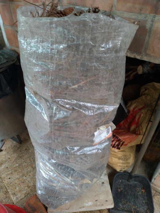 Pinhas para acender lareira