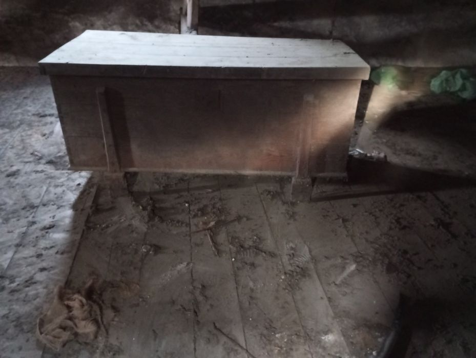 Arca em madeira para decoração