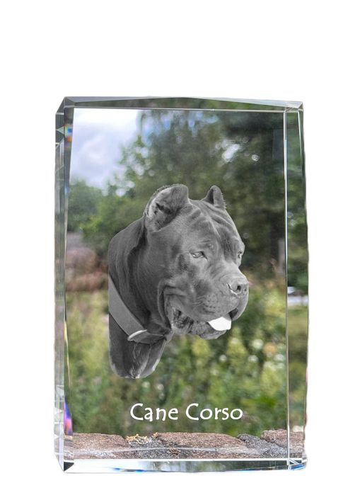 Cane Corso kryształ z psem Art-Dog