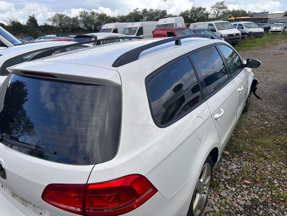 Двері Пасат Б 7 Європа